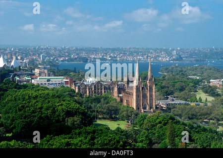 Vista aerea di Hyde Park e la Cattedrale di St Mary Sydney New South Wales AUSTRALIA Foto Stock