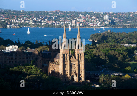 La Cattedrale di St Mary a tarda sera luce Sydney New South Wales AUSTRALIA Foto Stock