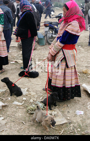 Flower popolo Hmong cuccioli di vendita presso il mercato degli animali in Bac Ha, Vietnam, sud-est asiatico Foto Stock