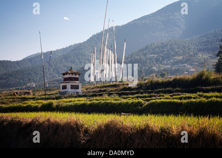 I campi di riso punteggiato di bandiere di preghiera intorno Sopsokha e Chemi Lhakhang monastero. Il Bhutan. Foto Stock