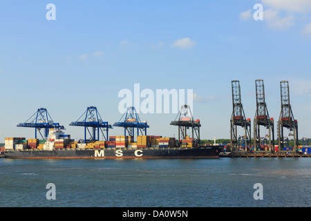 Gru di sollevamento di contenitori su di Mediterranean Shipping Company contenitore nave ormeggiata in Trinity terminale. Porto di Felixstowe Foto Stock