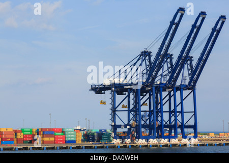 Gru a portale per il sollevamento di container sul molo terminale del porto container più grande del Regno Unito. Felixstowe Port Suffolk Inghilterra Gran Bretagna Foto Stock
