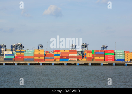 Contenitori impilati sul terminale di dockside quay del contenitore più grande porto nel Regno Unito. Porto di Felixstowe, Suffolk, Inghilterra, Regno Unito, Gran Bretagna Foto Stock