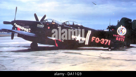 L'F-82G Twin Mustang, gestito dal 6th Fighter Squadron nel 1950, era un caccia bimotore a lungo raggio progettato sia per la superiorità aerea che per le missioni di attacco al suolo. L'F-82 fu un velivolo significativo durante i primi anni della Guerra fredda, fornendo un ampio raggio di combattimento e la capacità di scortare i bombardieri. Il design dell'aereo gli permise di trasportare armamenti pesanti mantenendo alta velocità e manovrabilità. Foto Stock