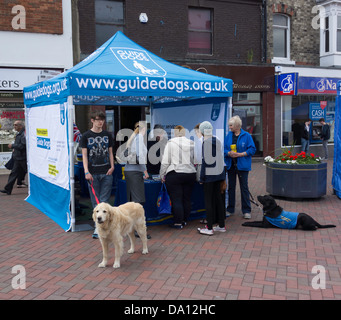Display per la carità dei cani guida per non vedenti su una piccola città High Street in estate Foto Stock