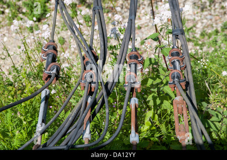 Acciaio cavi elettrici sospesi Foto Stock