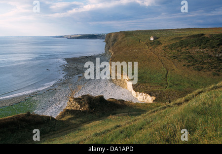 Clifftop percorso nei pressi di Dale Pembrokeshire West Wales Foto Stock