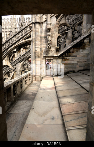 Guglie e statue e una miriade di forme e disegni sul tetto del Duomo di Milano Italia Foto Stock