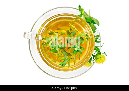La guarigione di tisana in tazza di vetro con fiori la Rhodiola rosea è isolato su uno sfondo bianco con un top Foto Stock