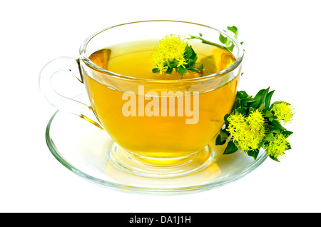 La guarigione di tisana in tazza di vetro con fiori Rhodiola rosea sul piattino isolati su sfondo bianco Foto Stock
