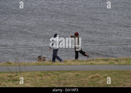 Coppia giovane a piedi il loro cane vicino alla spiaggia, giocando con il cane lanciando una sfera/giocattolo. Foto Stock