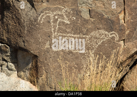 Big-cornuto pecore Jornada-Mogollon petroglyph a tre fiumi sito, Nuovo Messico. Fotografia digitale Foto Stock