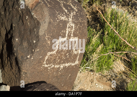 Thunderhead Jornada-Mogollon petroglyph a tre fiumi sito, Nuovo Messico. Fotografia digitale Foto Stock