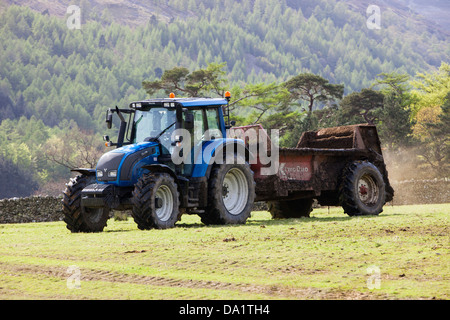 Un agricoltore diffondere cow muck su un campo in Buttermere, Lake District, UK. Foto Stock