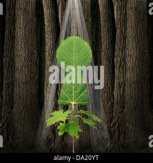 Chiave per la crescita la concezione di business con un emergente albero giovane germoglio con una lamina a forma di toppa di chiave che si elevano da una scura foresta vecchio pavimento con un incandescente fascio di luce come un simbolo di soluzioni e nuove opportunità. Foto Stock