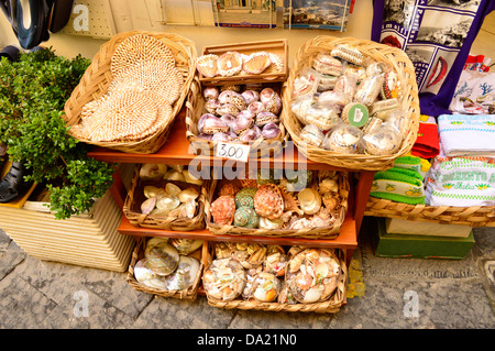 Un display di conchiglie di mare presso un negozio di articoli da regalo in Amalfi, Italia Foto Stock