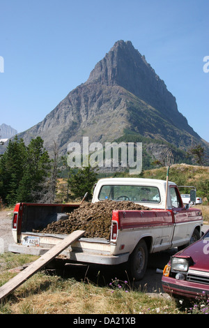 Un pick up un camion pieno di letame equino con montagna in background, il Parco Nazionale di Glacier, Montana, Stati Uniti d'America Foto Stock