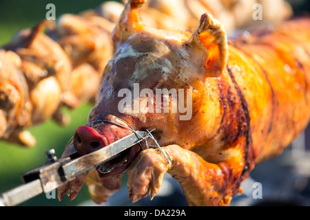 Un arrosto di maiale e polli tostatura su un barbecue a carbone. Foto Stock