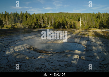 Blue sky vista serale per alberi verdi colline, Spa Geyser pianura agglomerato raggi solari tree ombre, Upper Geyser Basin, Yellowstone Foto Stock