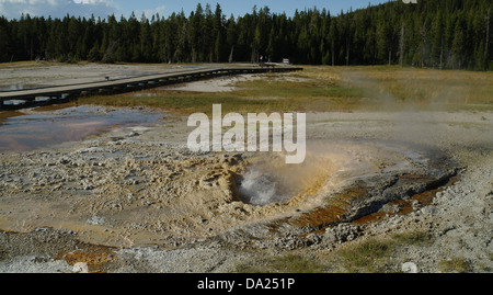 Blue sky view, a nord di foresta di conifere, giallo cono di agglomerato di acqua bollente pompa Geyser, Geyser Hill, Yellowstone Hotspot, STATI UNITI D'AMERICA Foto Stock