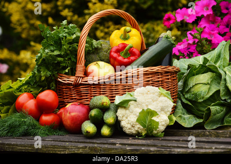 Fresche verdure organiche nel cesto di vimini in giardino Foto Stock