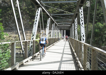 dh KARANGHAKE GORGE NEW ZEALAND Donna in bicicletta sul sentiero ponte ciclabile ciclista nord isola Foto Stock