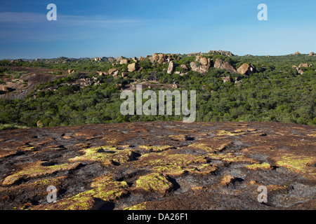 Grande grotta Camp, si mescola al affioramenti granitici della Matopos Hills, vicino a Bulawayo, Zimbabwe, Sud Africa Foto Stock