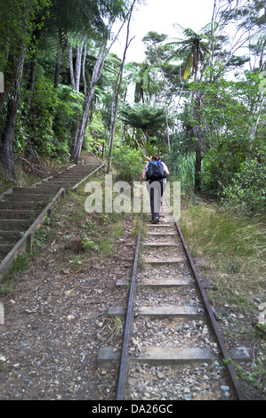 Dh KARANGAHAKE GORGE NUOVA ZELANDA Donna escursioni turistiche fino il mio binario ferroviario Foto Stock