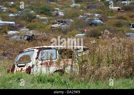 Ruggine arrugginite arrugginito arrugginita antica vintage auto automobili carrello camion veicoli veicolo auto automobili automobili junk junkyard Foto Stock