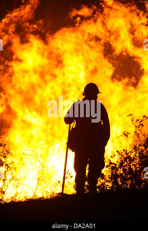 25 ottobre 2007 - San Bernardino, in California, Stati Uniti d'America - il lavoro dei vigili del fuoco di una battaglia che infuria wildfire in San Bernardino zona della California nel mese di ottobre 2007. Il fuoco ha distrutto più di 1.500 case e bruciato oltre 500.000 acri. È stato dichiarato uno stato di emergenza in sette contee della California come più di 6 mila i vigili del fuoco hanno lavorato per la lotta contro l'incendio. Almeno 60 dei vigili del fuoco sono stati feriti combattere l'incendio. (Credito Immagine: © Nicolaus Czarnecki/ZUMAPRESS.com) Foto Stock