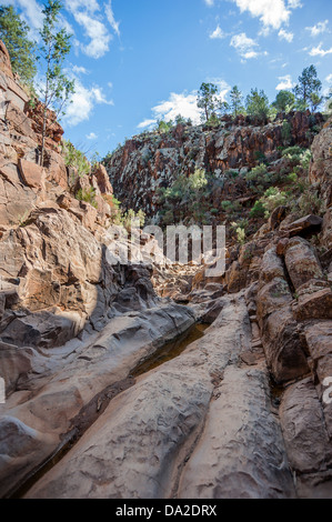 Il sacro Canyon nelle splendide Flinders Ranges nell'entroterra australiano. Foto Stock