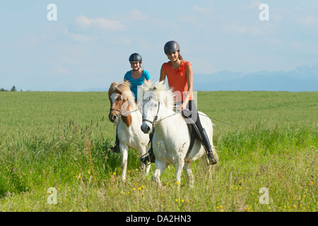 Due giovani piloti sul retro dei cavalli islandesi escursioni a cavallo Foto Stock