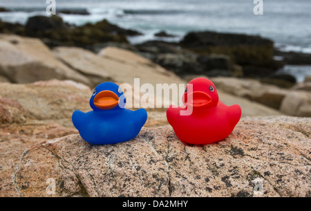 Il rosso e il blu le papere di gomma sulla spiaggia nel Parco Nazionale di Acadia, Maine. Foto Stock