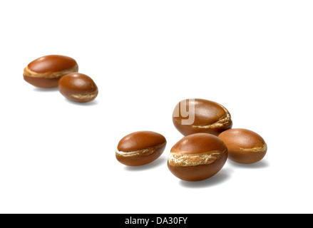 I dadi di argan Foto Stock