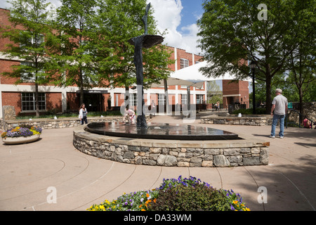 Il Parco delle Cascate sul Reedy, Greenville, SC, STATI UNITI D'AMERICA Foto Stock