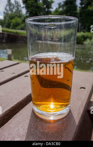 Bicchiere di birra accanto a un canale. Banca Canale di Beagle Pub Foto Stock