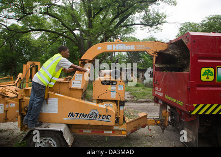 Alimentazione dei lavoratori bush e piccoli alberi in una sminuzzatrice come la piaga di Detroit competente pulisce il quartiere Brightmoor. Foto Stock