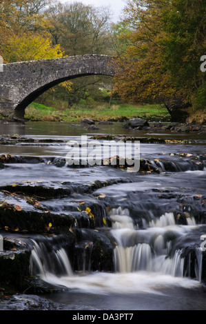 Forza Stainforth sul fiume Ribble in autunno con il vecchio pack-ponte di cavallo in background. Stainforth, Yorkshire Dales Foto Stock