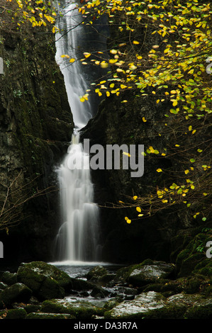 Catrigg vigore Stainforth Beck, cascata attraverso una stretta gola, sopra il villaggio di Stainforth nel Yorkshire Dales Foto Stock