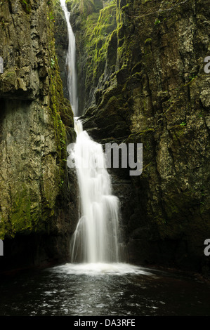 Catrigg vigore Stainforth Beck, cascata attraverso una stretta gola, sopra il villaggio di Stainforth nel Yorkshire Dales Foto Stock