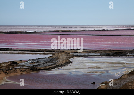 Stagni di sale, vicino a Walvis Bay, Namibia, Africa Foto Stock