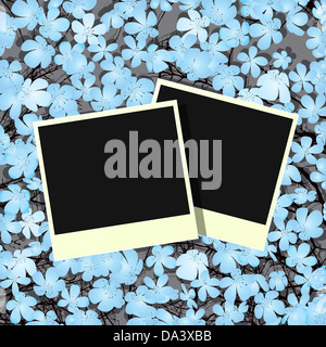 Design decorativo con il vecchio cornici fotografiche e fiori Foto Stock