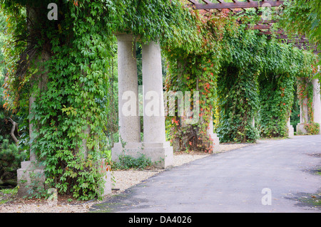 Wroclaw Pergola vicino Centennial Hall Foto Stock