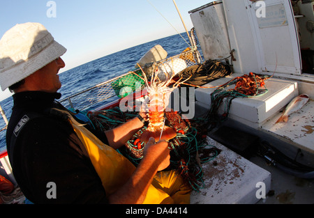 All'interno di un Gill net aragoste barca da pesca. Foto Stock