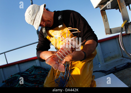 All'interno di un Gill net aragoste barca da pesca. Foto Stock