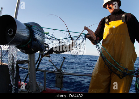 All'interno di un Gill net aragoste barca da pesca. Foto Stock