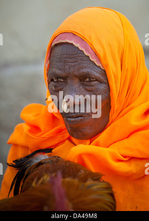 Donna eritreo con anello d'Oro per il naso, Adi Keyh, Eritrea Foto Stock