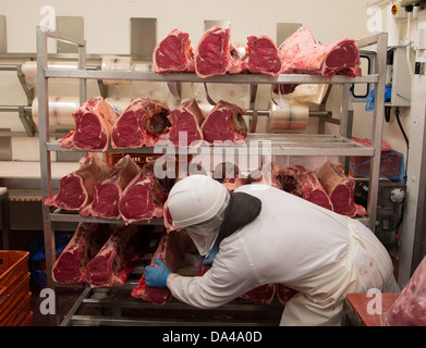 Lavoratore con giunti di Lombata di manzo nei macelli, Yorkshire, Inghilterra, Febbraio Foto Stock