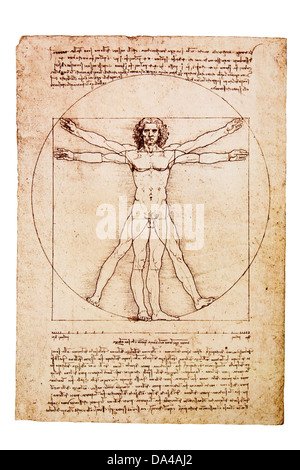 Da Vinci's uomo vitruviano Foto Stock