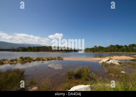 Francia, Corsica, Corse-du-Sud Dipartimento, Corsica Costa Sud Regione, Porto-Vecchio Foto Stock